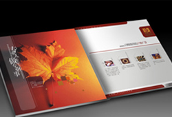 画册设计
